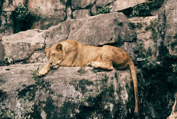 the importance of sleeping